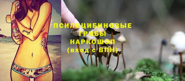 не бодяженный Горнозаводск