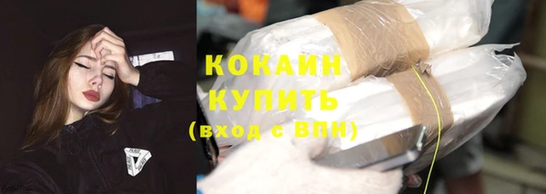 мдпв Горняк