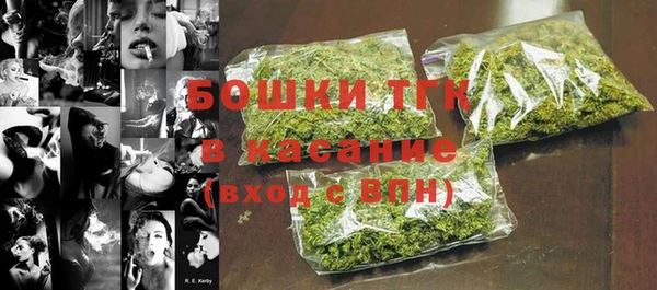 мдпв Горняк