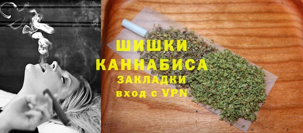 гидра Вязники