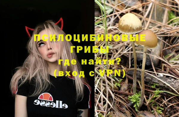 гидра Вязники