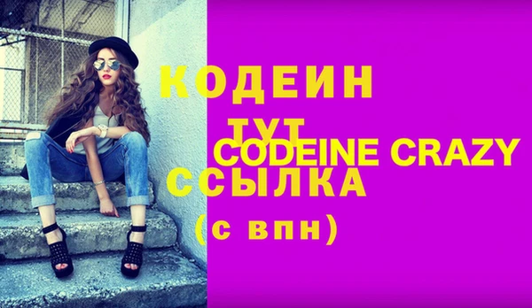 скорость Вяземский