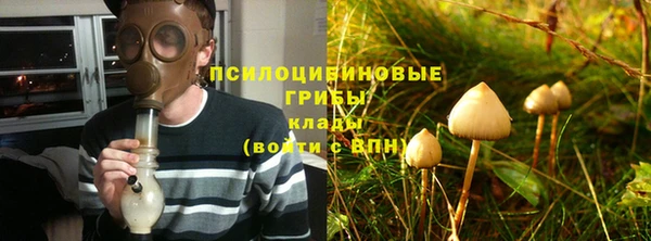 эйфоретик Вязьма