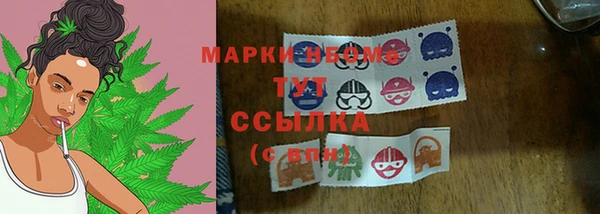 гидра Вязники