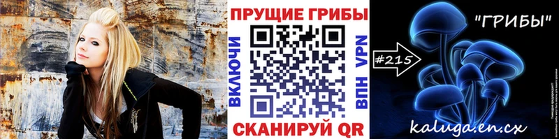 цены наркотик  Ивантеевка  Галлюциногенные грибы MAGIC MUSHROOMS 